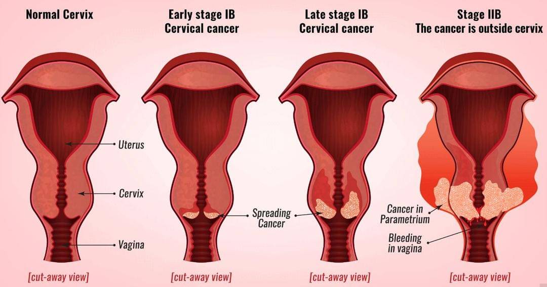 Yourcareeverywhere.com